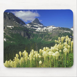 Beargrass at Logan Pass in Glacier National Park Mouse Mat