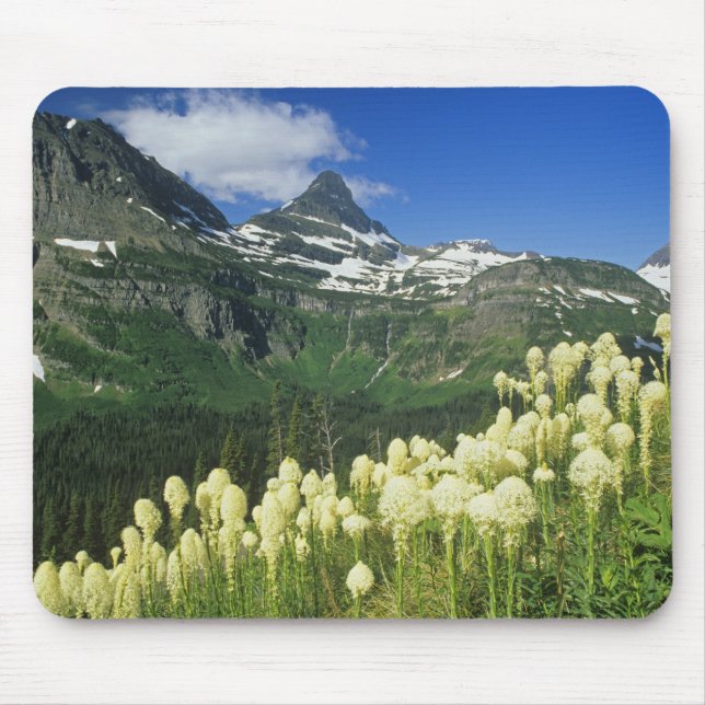 Beargrass near Logan Pass in Gacier National Mouse Mat (Front)