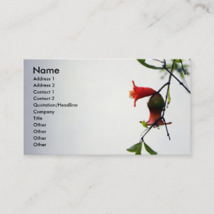 Bearing Fruits/Profile Card