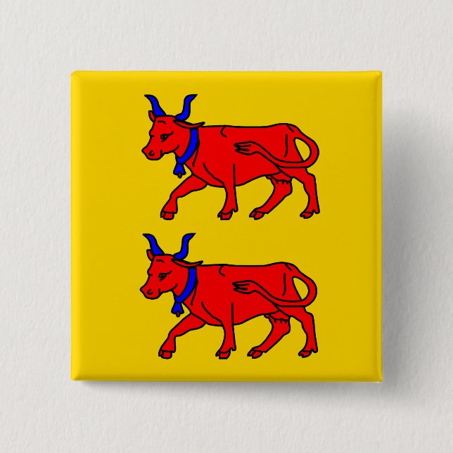 Bearn, France flag 15 Cm Square Badge (Front)