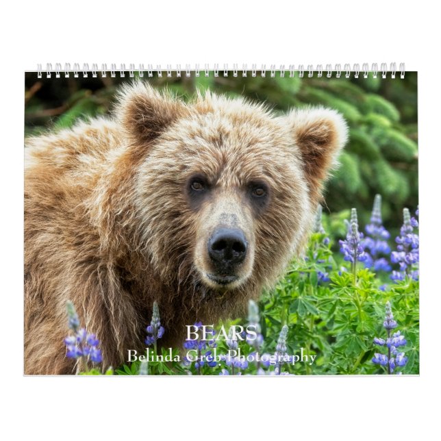 BEARS - Belinda Greb Photography Calendar (Cover)
