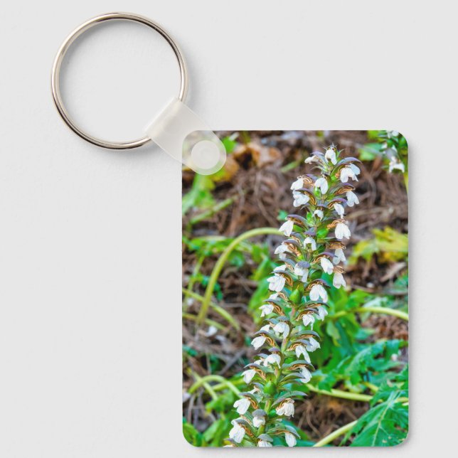 Bear's breeches key ring (Front)