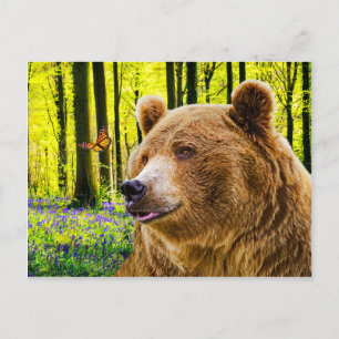 "Bear's Delight" Postcard