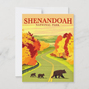 Bears in Shenandoah NP Postcard