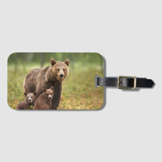 Bears Luggage Tag