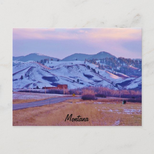 Bear's Paw Postcard (Front)