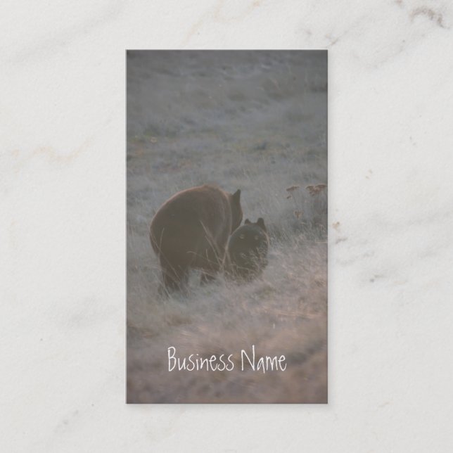 Bears Walking at Sunset; Promotional Business Card (Front)