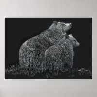Bears Wildlife Nature Drawing Black White
