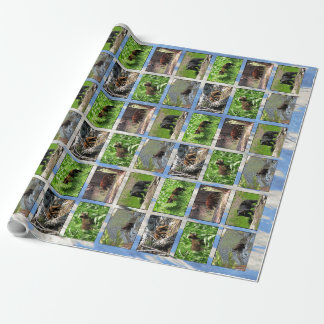 Bears Wrapping Paper