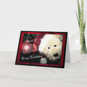 Beary Merry Christmas Holiday Card