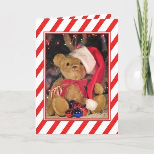 Beary Merry Teddy Bear Christmas Greeting Card