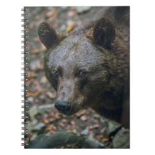 BEARY THOUGHTS NOTEBOOK