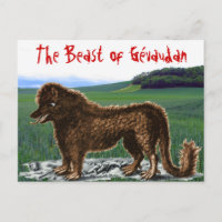 Beast of Gévaudan Postcard