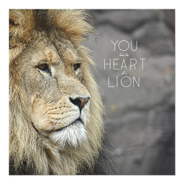 Beastly Monarch #1 (24x24) Photo Print (Front)