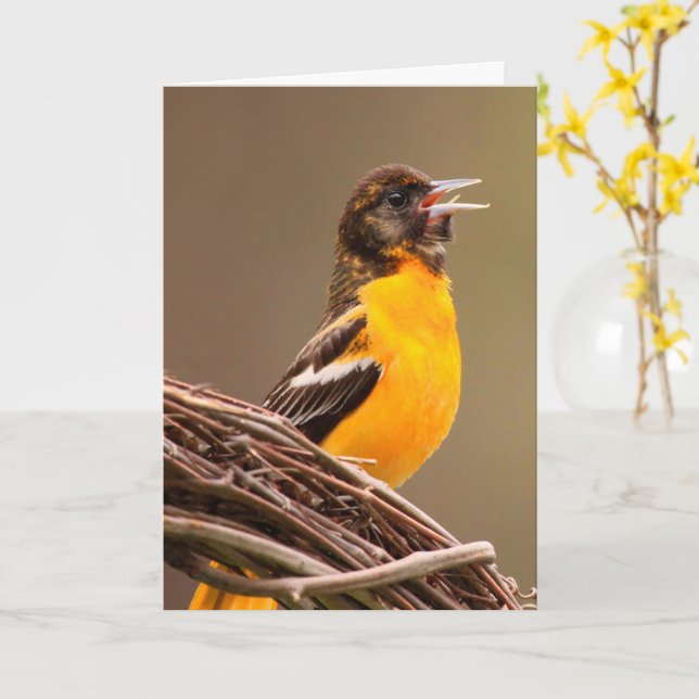 Beat Cancer Oriole  Card (Yellow Flower)