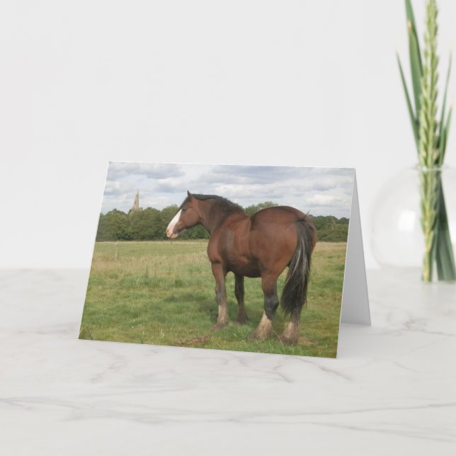 Beatrice - Shire Horse Greeting Card (Front)