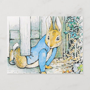 Beatrix Potter - Bunny Illustration Postcard
