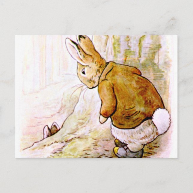 Beatrix Potter - Bunny Illustration Postcard (Front)