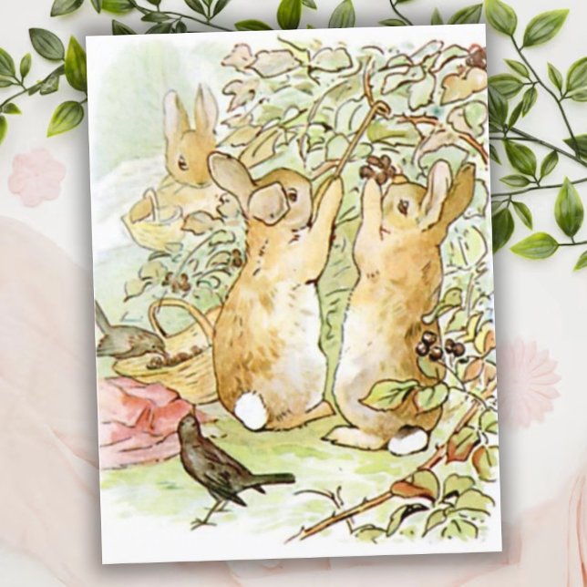 Beatrix Potter from The Tale of Peter the Rabbit Postcard (Creator Uploaded)