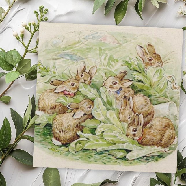 Beatrix Potter Tale of the Flopsy Bunnies Card (Creator Uploaded)