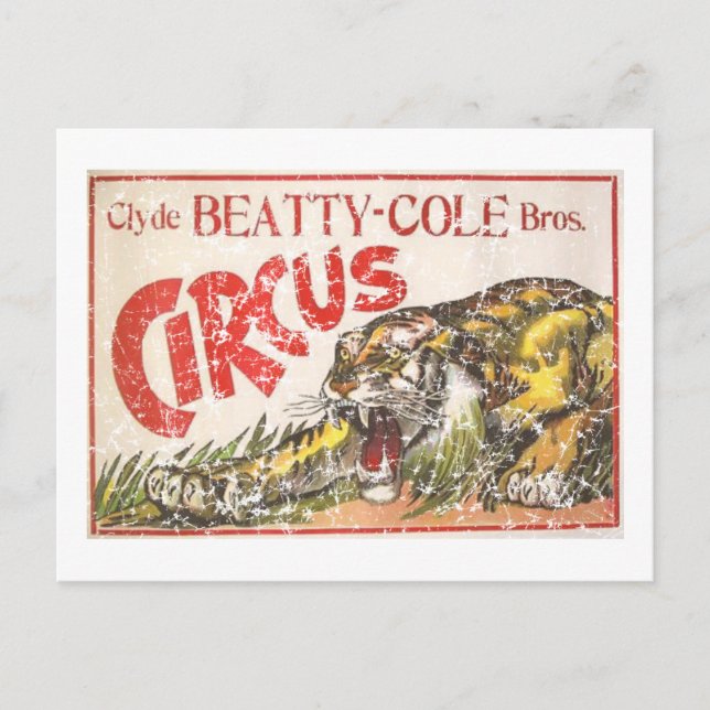 Beatty Cole Circus - 1903 - distressed Postcard (Front)