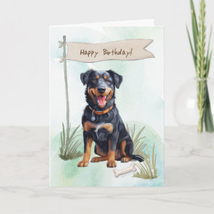 Beauceron Breed Dog Outside Under Birthday Sign Card