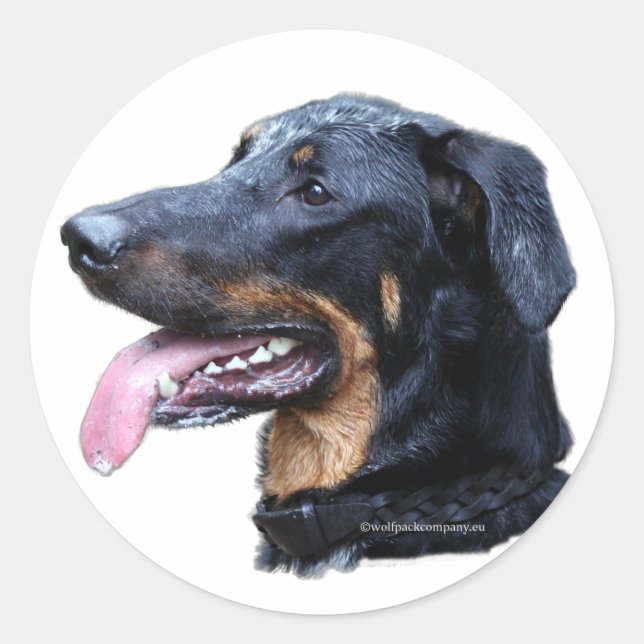beauceron classic round sticker (Front)