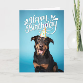 Beauceron Dog Happy Birthday Card