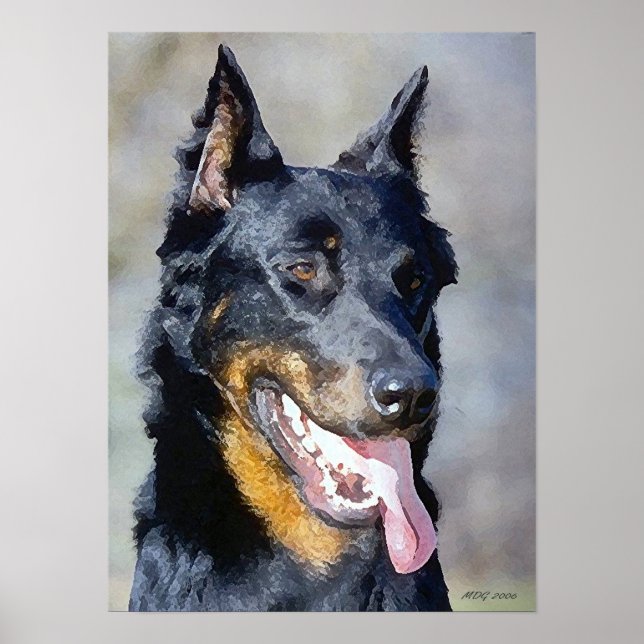 Beauceron Dog Portrait Poster Print (Front)