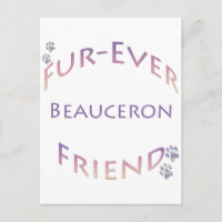 Beauceron Furever