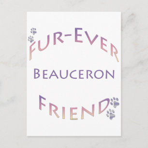Beauceron Furever Postcard