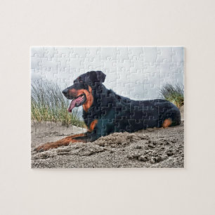 Beauceron Jigsaw Puzzle