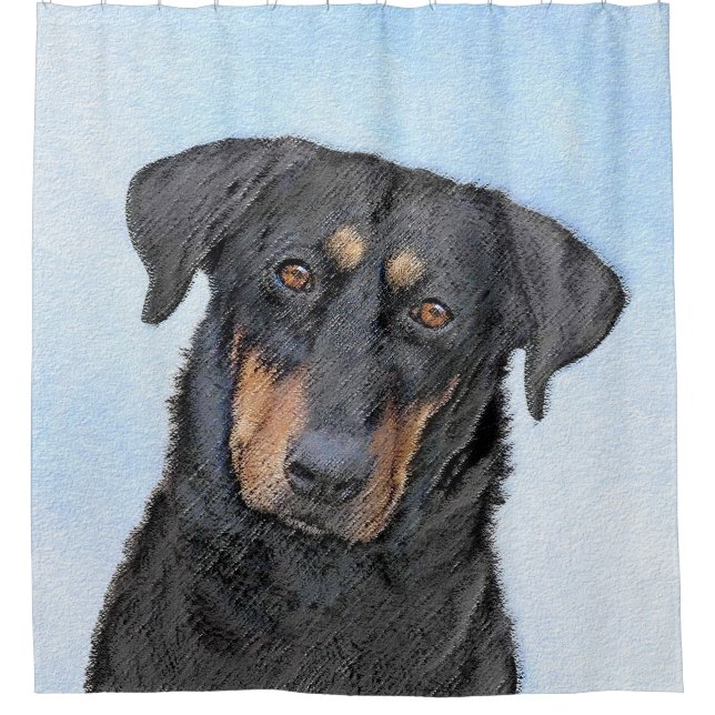 Beauceron Painting - Cute Original Dog Art Shower Curtain (Front)