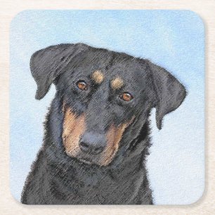 Beauceron Painting - Cute Original Dog Art Square Paper Coaster