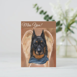 Beauceron postcard