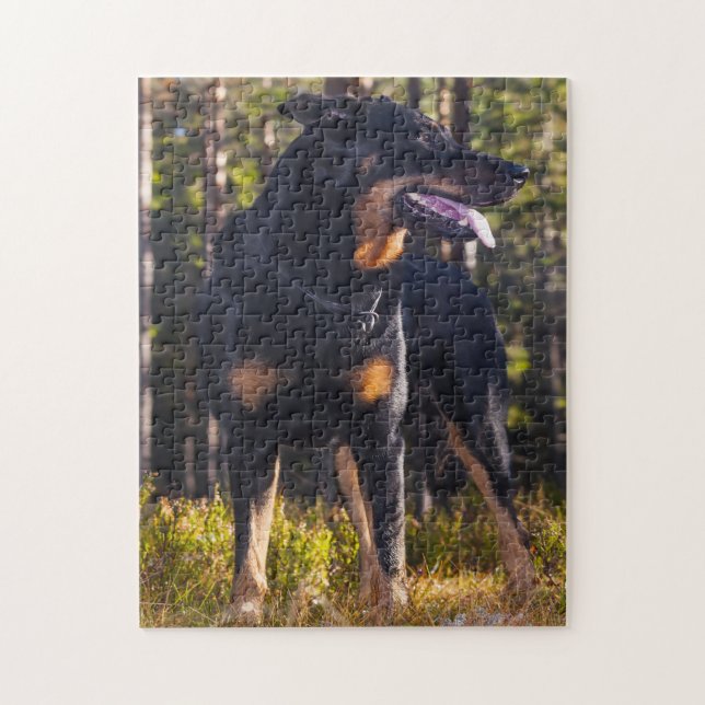 Beauceron Shepherd Dog. Jigsaw Puzzle (Vertical)
