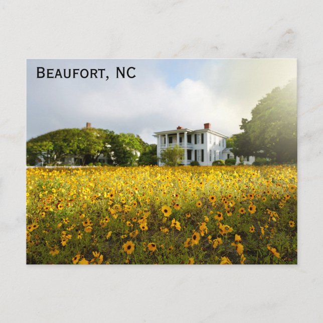 Beaufort North Carolina Historic Home Travel Postcard (Front)