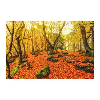 Beaulieu Woods Canvas Print