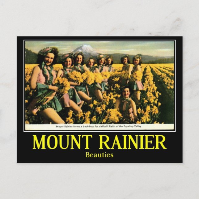 Beauties in Puyallup Valley, Vintage Postcard (Front)