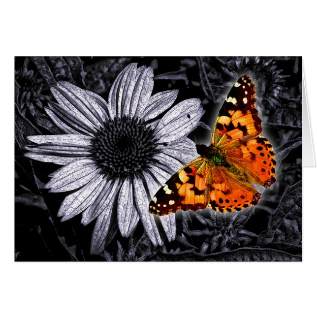 Beautifly (Front Horizontal)