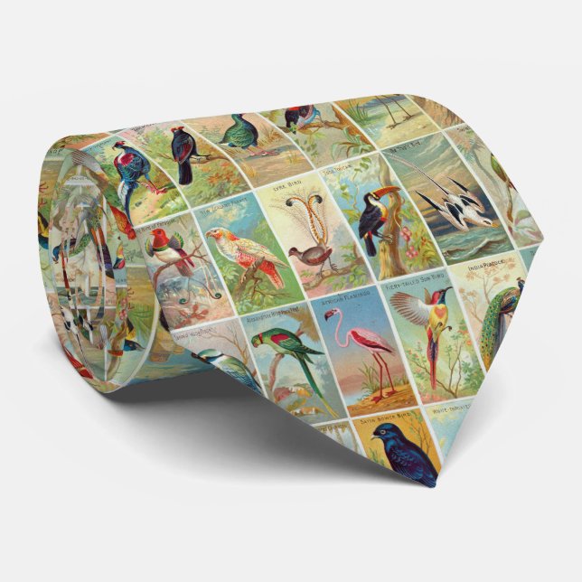 Beautiful 19th-century Tropical Birds Illustration Tie (Rolled)
