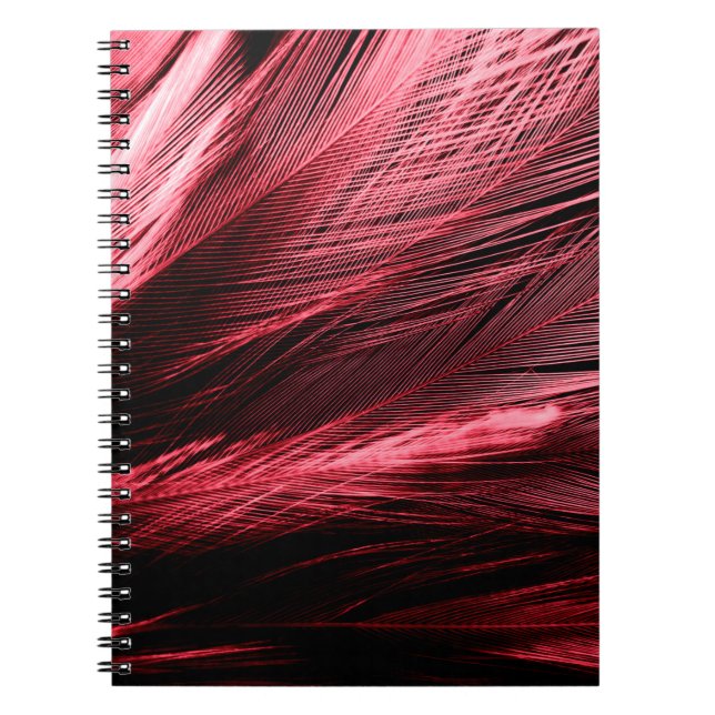 Beautiful abstract red feathers on dark background notebook (Front)