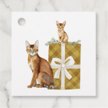 Beautiful Abyssinian Cats on a Package Gift Tags
