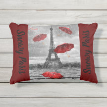 Beautiful accent pillow with Paris design
