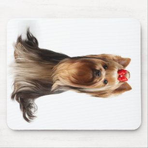 Beautiful adorable dog mouse mat