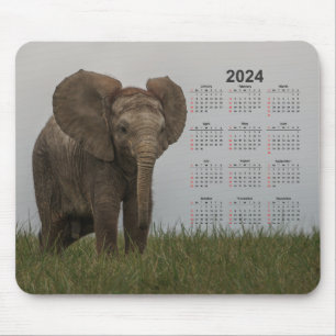 Beautiful African Bush Elephant 2024 Calendar Mouse Mat