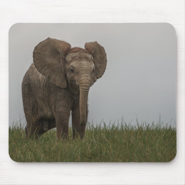 Beautiful African Bush Elephant Mouse Mat (Front)