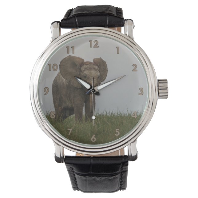 Beautiful African Bush Elephant Watch (Front)