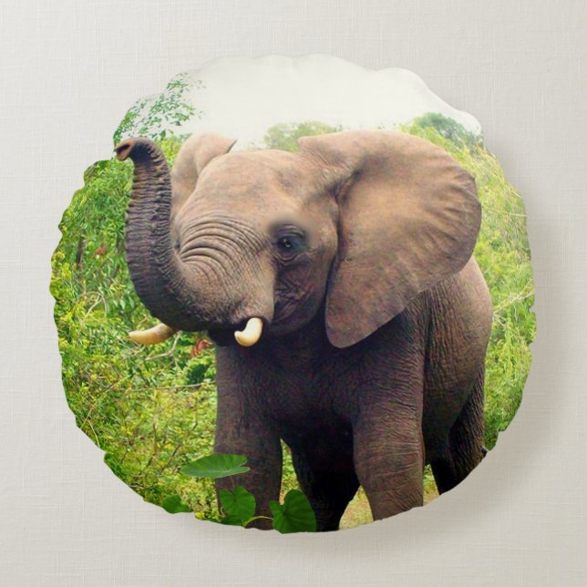 Beautiful African Elephant & Tropical Plants Round Cushion (Front)