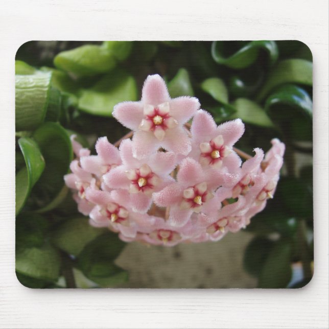 Beautiful African Violet Mouse Mat (Front)